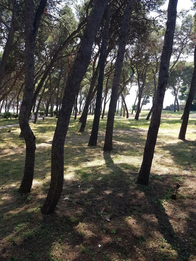 Principessa Apartmán